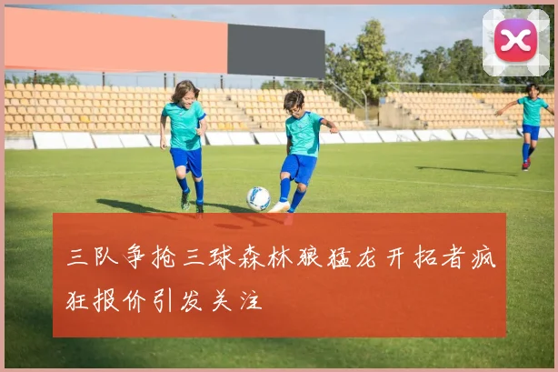 三队争抢三球森林狼猛龙开拓者疯狂报价引发关注
