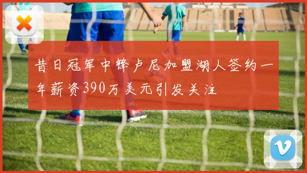 昔日冠军中锋卢尼加盟湖人签约一年薪资390万美元引发关注